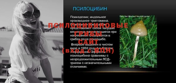 спайс Нея