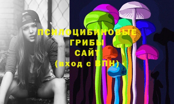 индика Болохово