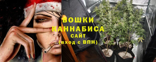 не бодяженный Надым
