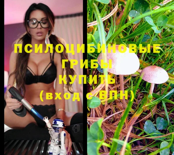не бодяженный Надым