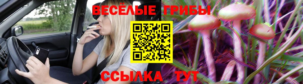 Псилоцибиновые грибы Magic Shrooms  Вход с VPN  Ржев 