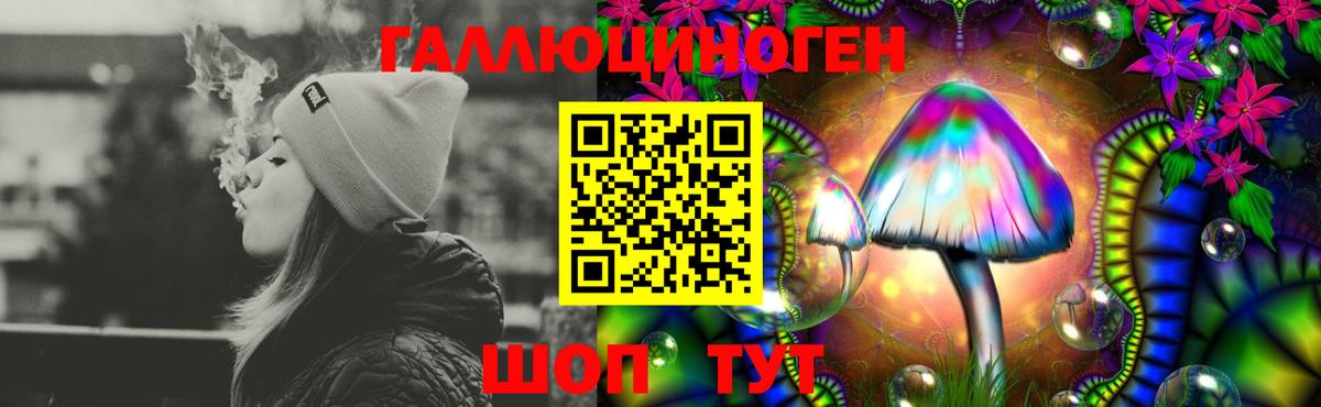 Галлюциногенные грибы Psilocybe Ржев